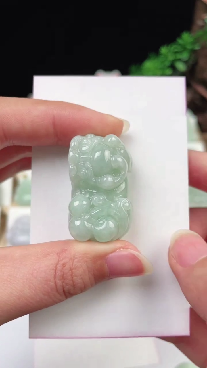 【闪购商品】翡翠颈饰未镶嵌貔貅