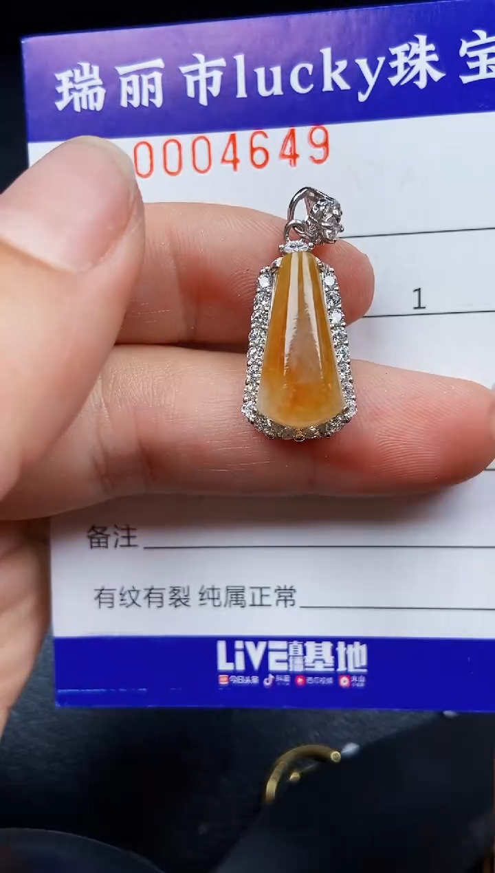 翡翠银S925镶嵌颈饰4649
