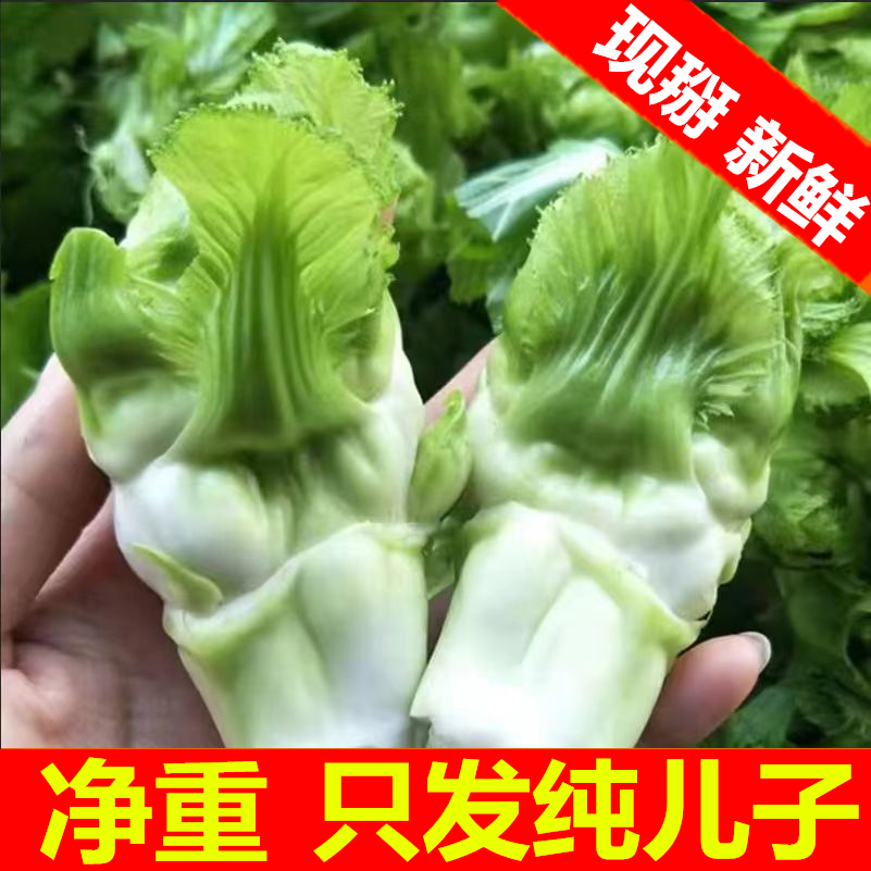 四川新鲜儿菜纯儿子时令蔬菜娃娃孢子芥农家火锅芥菜整箱自种批发