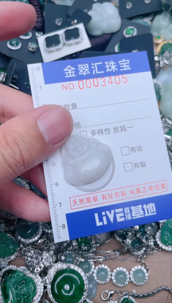 【闪购商品】翡翠颈饰未镶嵌3405....