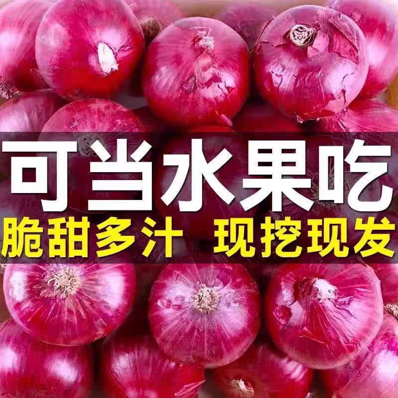 【5斤】甘肃紫红皮洋葱当季新鲜产地直发