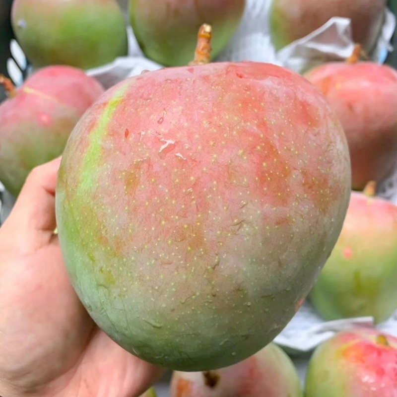 奥芒1000g/份