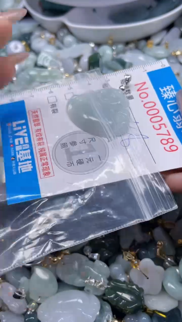 颈饰未镶嵌翡翠5789