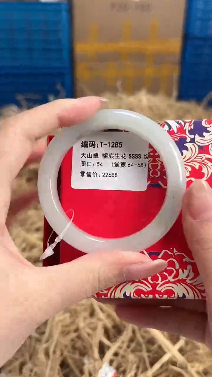未镶嵌手镯石英质玉T-1285