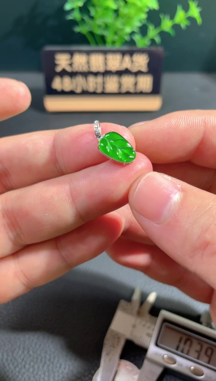 【闪购商品】翡翠颈饰18K金镶嵌翡翠