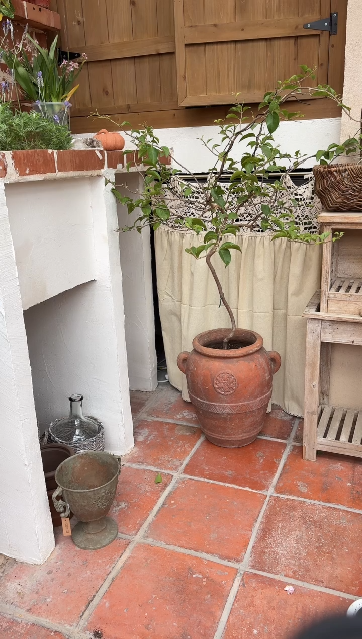 红陶啊雪花罐口径23高度36