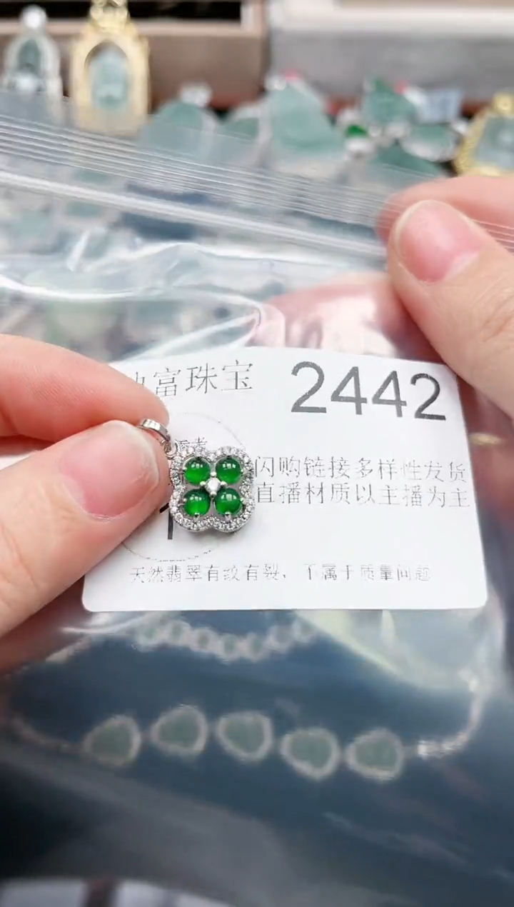 【闪购商品】翡翠颈饰未镶嵌2442赠皮绳