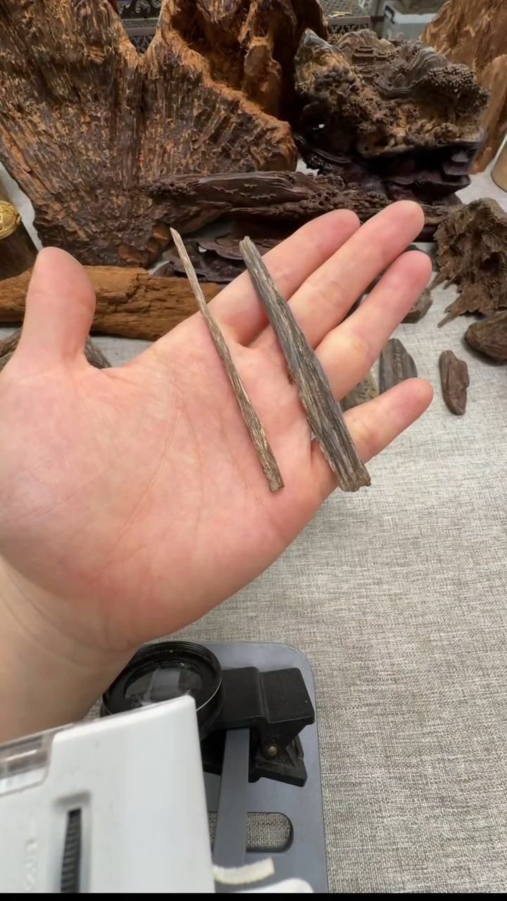 【闪购商品】广西十万大山鸡骨香1g装