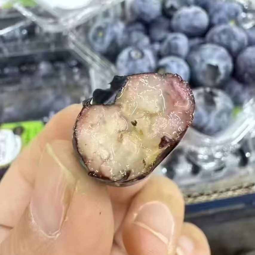 悦果先生枝冠秘鲁蓝莓（一盒）
