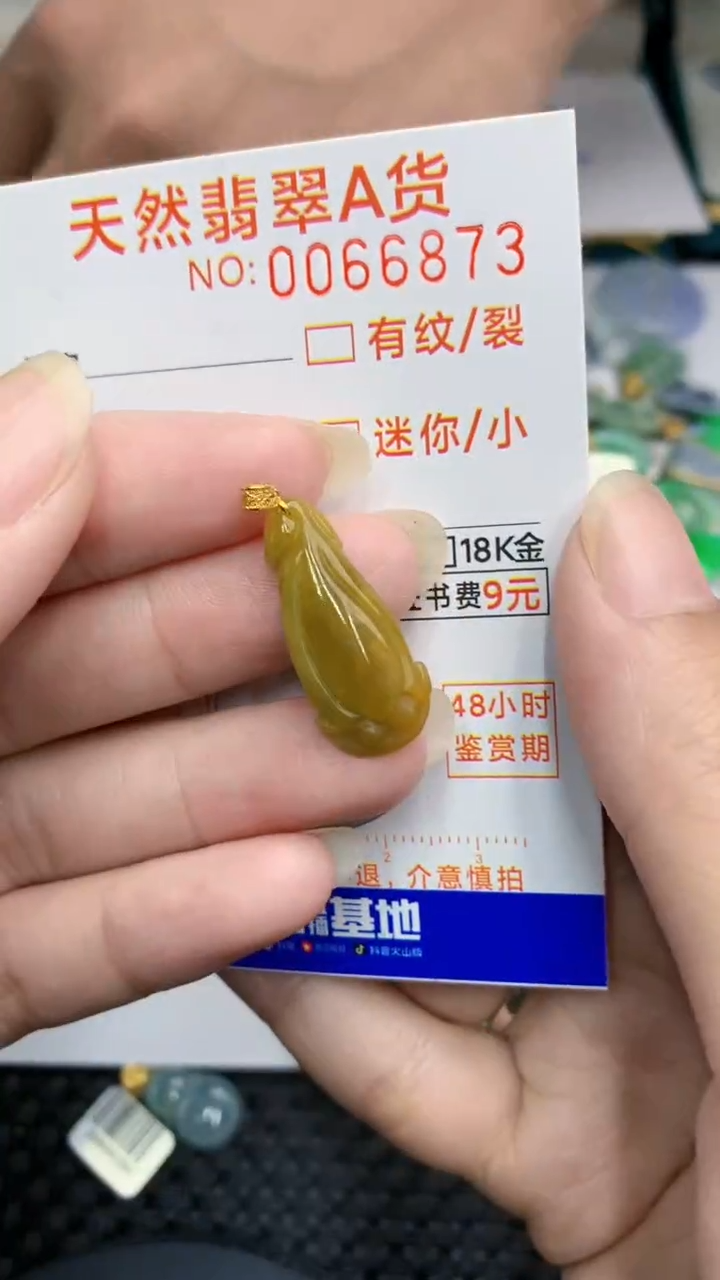【闪购商品】翡翠颈饰18K金镶嵌            8