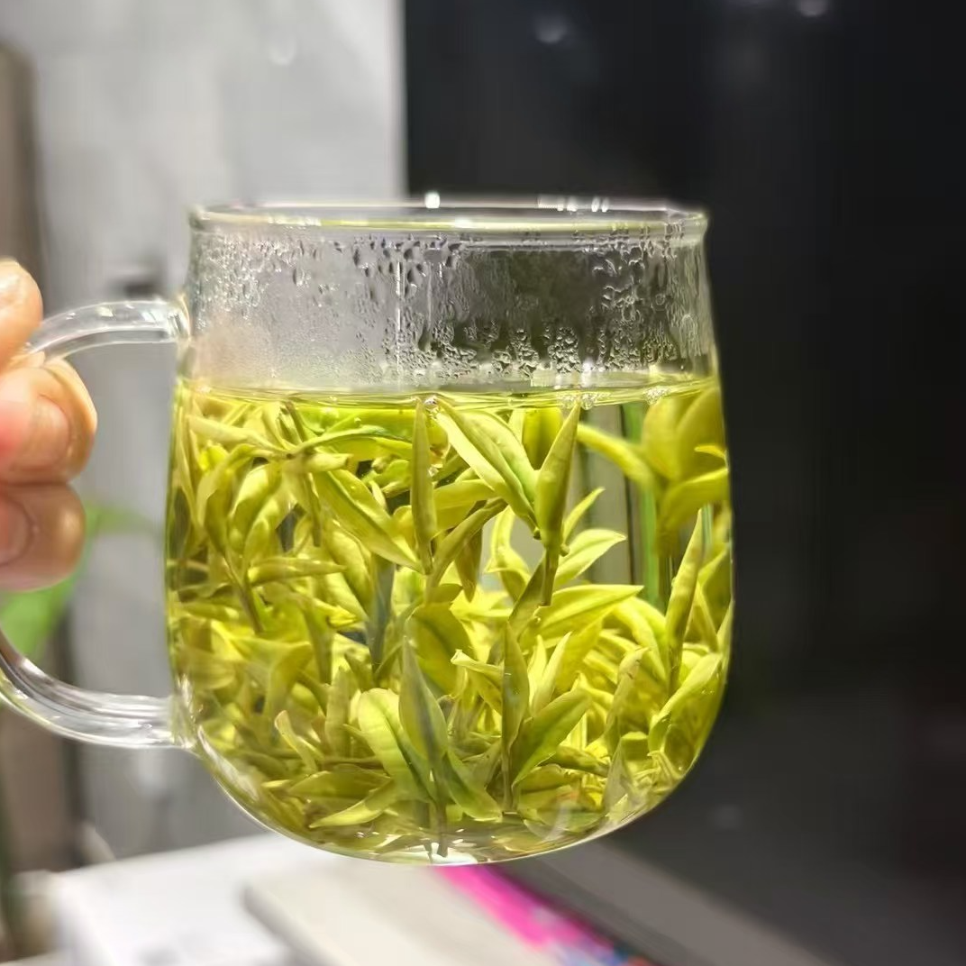 蕙兰白【2025新茶】 高山特白 安吉白茶 昆铜产区 头采兰花香带竹香