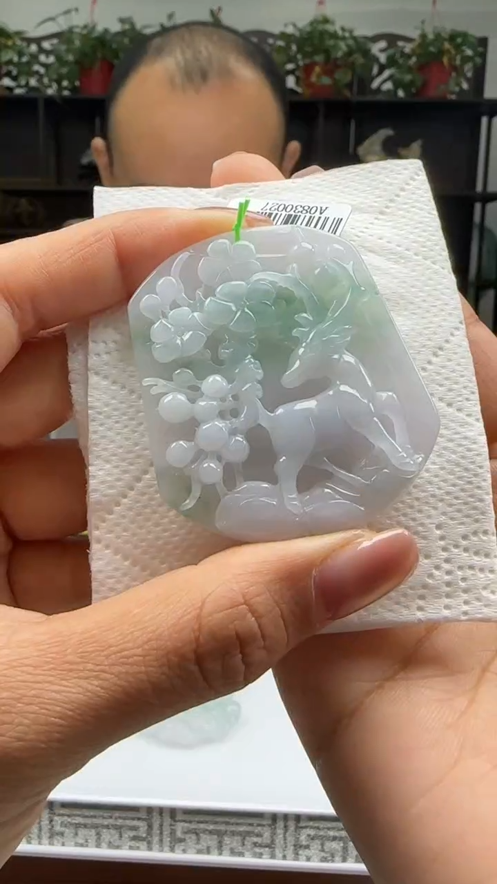 【闪购商品】翡翠颈饰未镶嵌天然翡翠A货吊坠