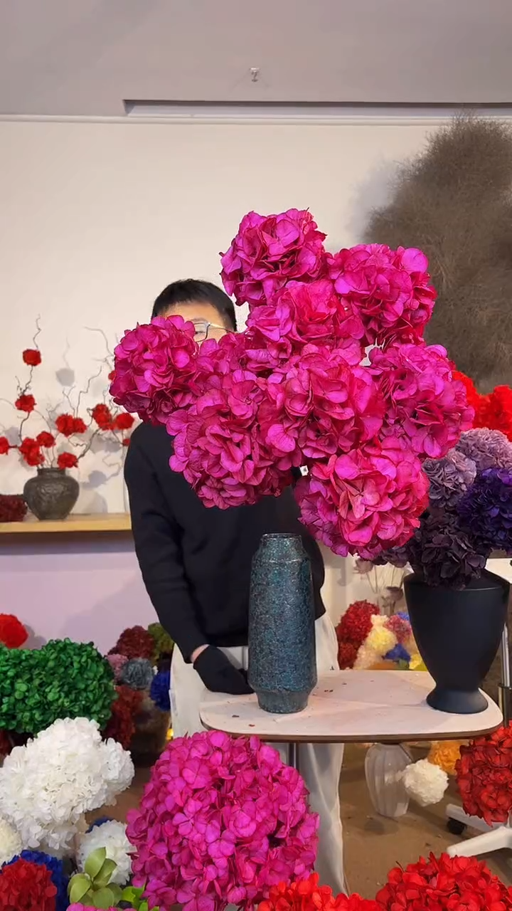 吸色永生大叶绣球花球9枝  玫红（特价