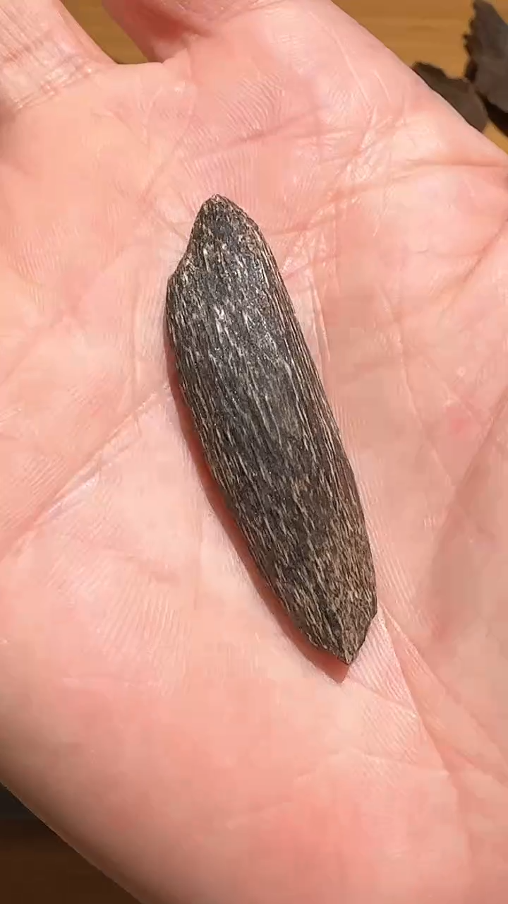 【闪购商品】沉香手把件海南虫眼1.8g