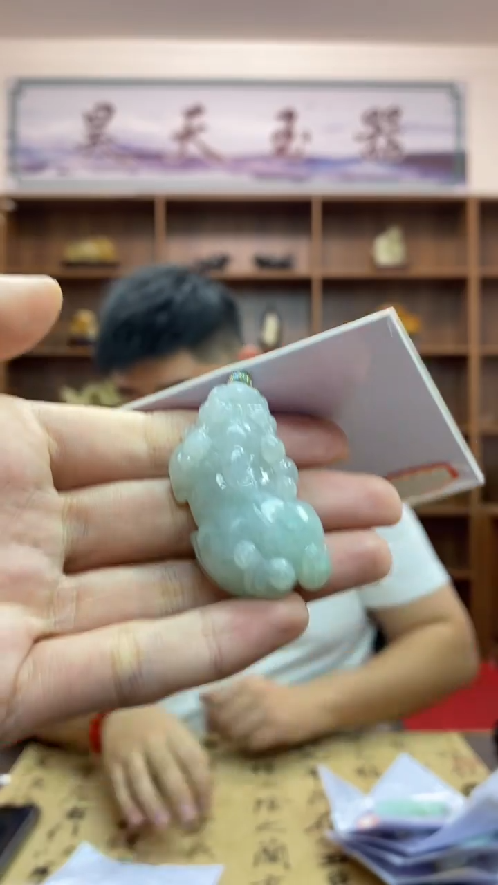 【闪购商品】翡翠颈饰未镶嵌貔貅吊坠