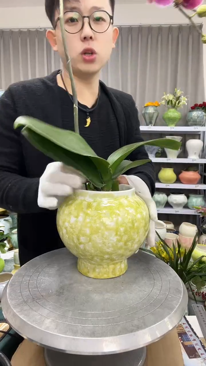 直播链接  高：   15口：11