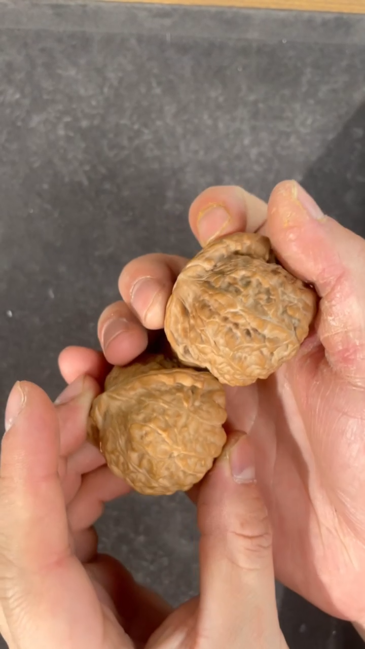 【闪购商品】文玩核桃把件46全品南瓜墩