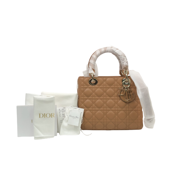 全新未使用 DIOR/迪奥 未使用/包包/迪奥/250311EL0012