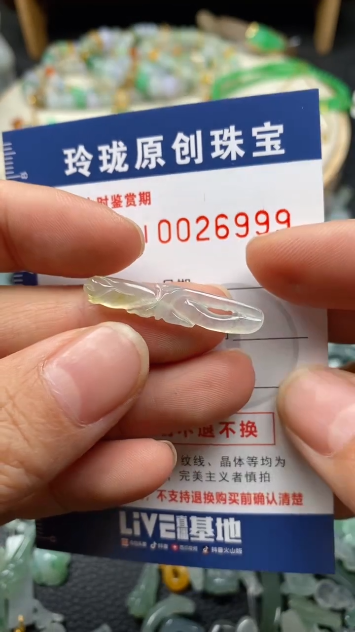 【闪购商品】翡翠颈饰未镶嵌翡翠净货26999