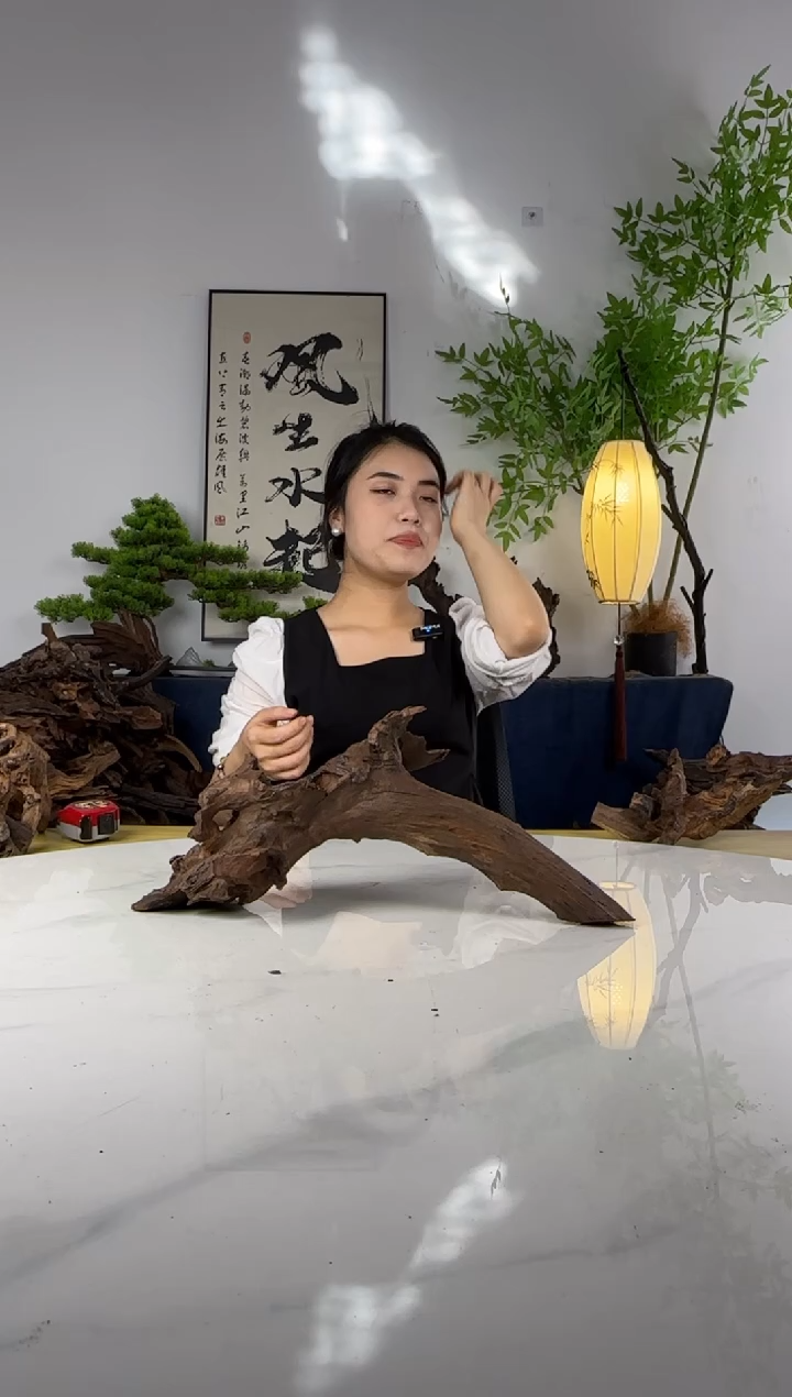 她**影沉木定向编号5