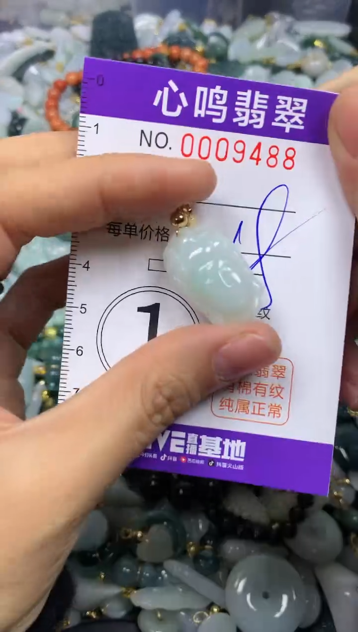 【闪购商品】翡翠颈饰未镶嵌闪购009488