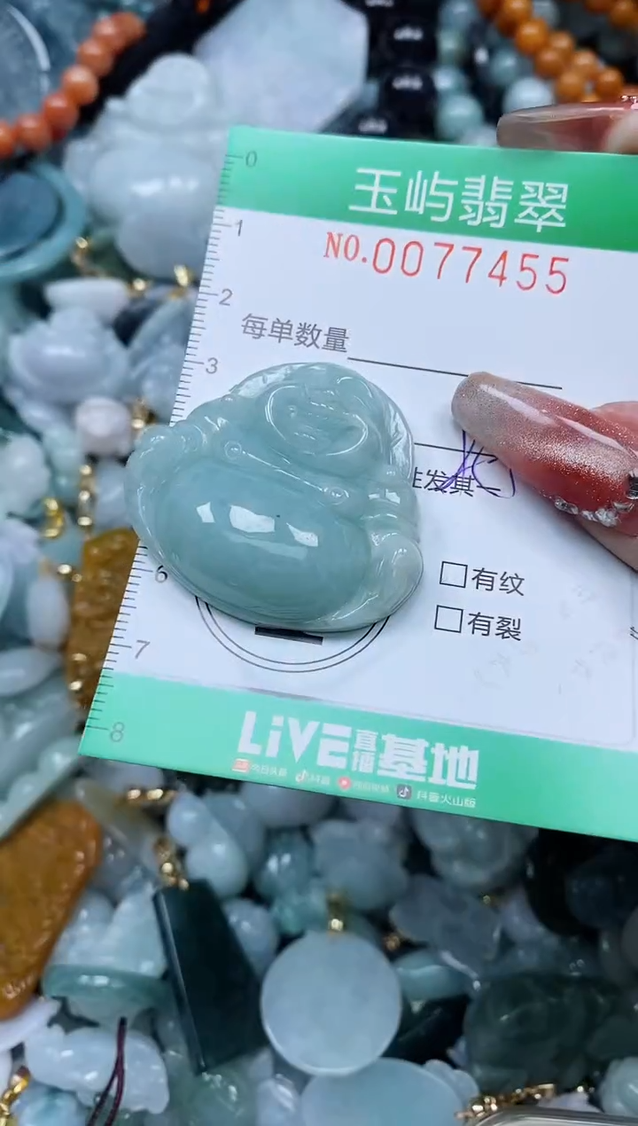 【闪购商品】翡翠颈饰未镶嵌闪购0077455