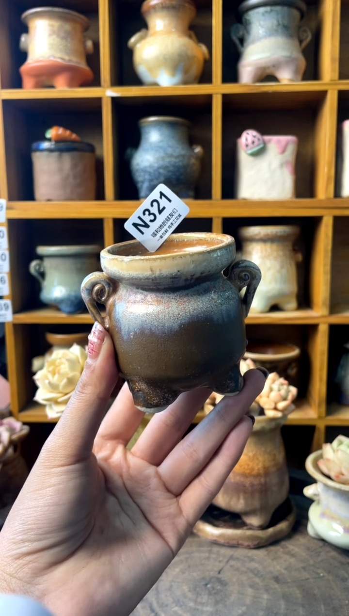 321内口5【多肉花盆多肉盆】