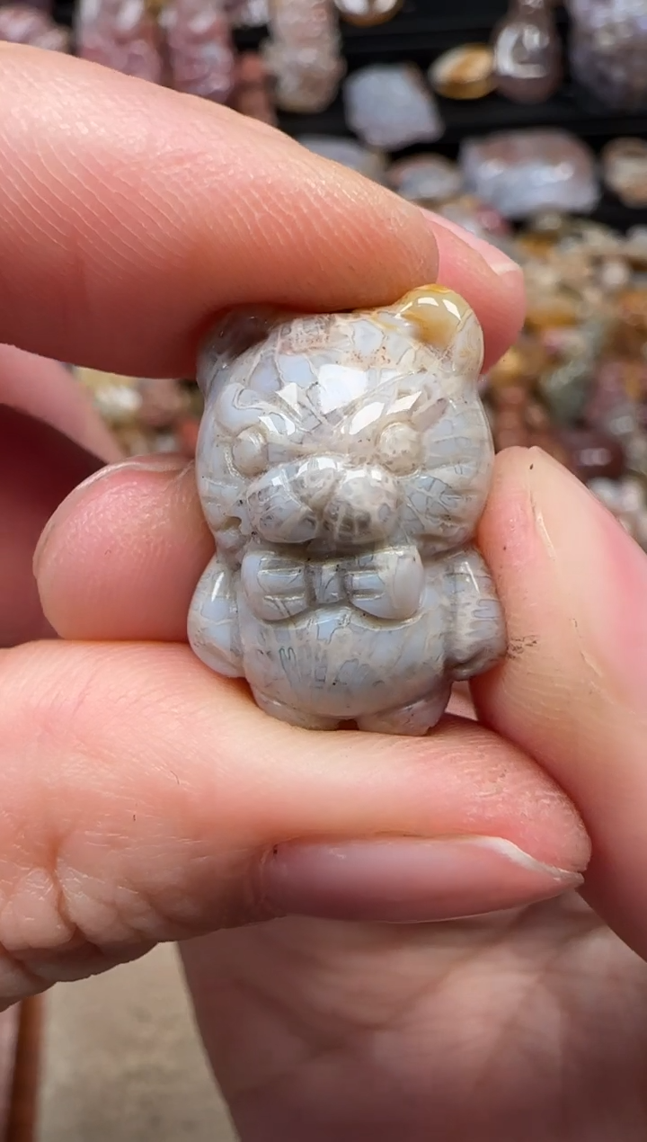 颈饰未镶嵌硅化珊瑚（珊瑚玉）869