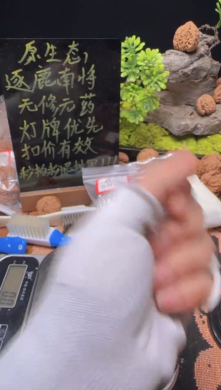 【闪购商品】文玩核桃把件南将石