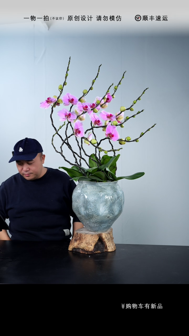 【闪购商品】112号链接【一物一拍】艺术盆景