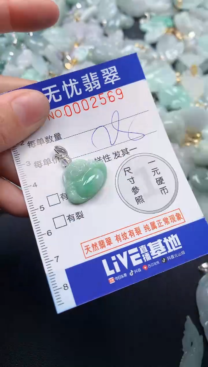 颈饰未镶嵌翡翠2569