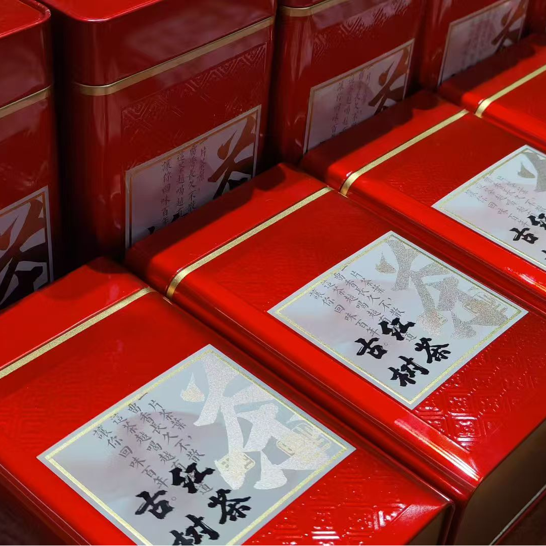 秋日滋养大雪山百年古树晒红·高山春茶·暖甜香