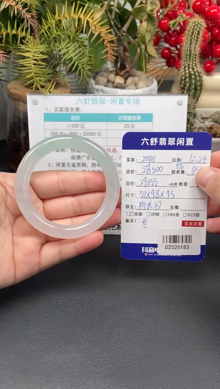 未镶嵌手镯翡翠z***iD2526183