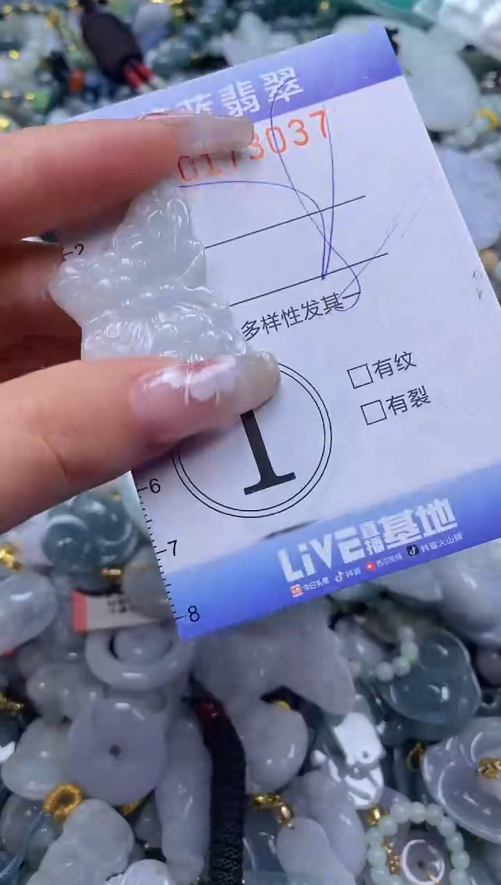 【闪购商品】翡翠颈饰未镶嵌闪购0173037