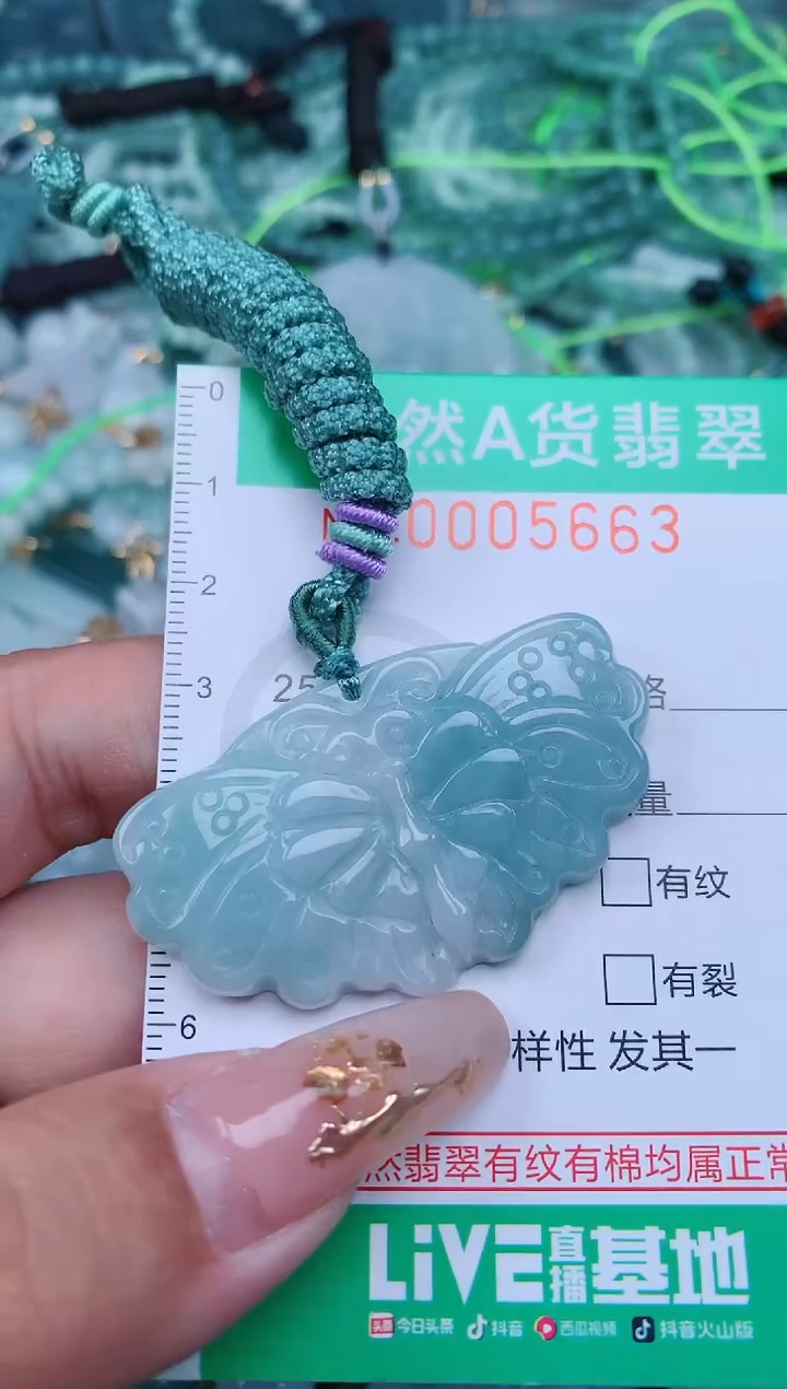 【闪购商品】翡翠颈饰未镶嵌.0005663