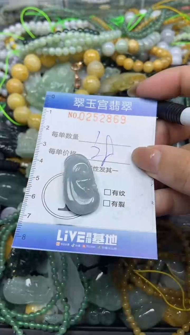 颈饰未镶嵌翡翠闪购C0252869