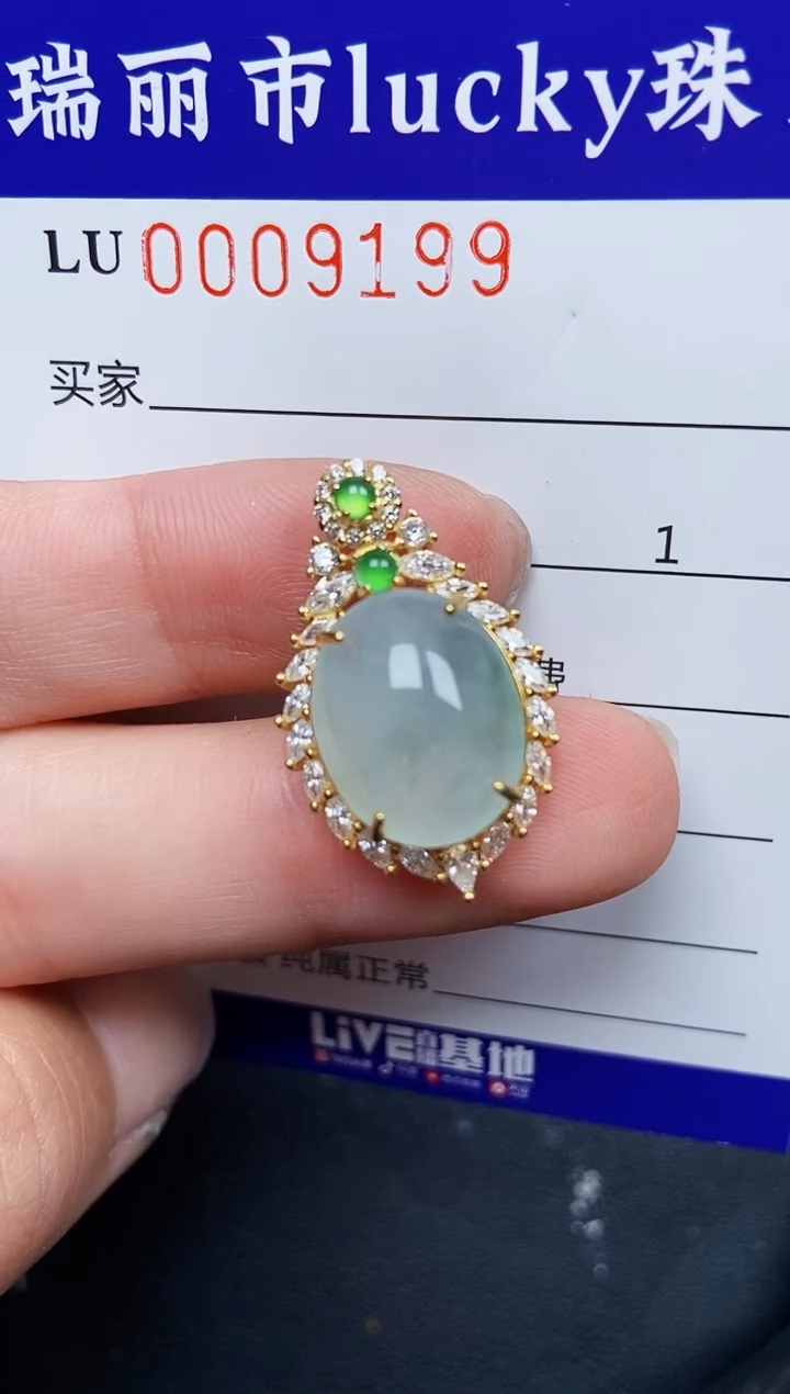 【闪购商品】翡翠颈饰银S925镶嵌9199