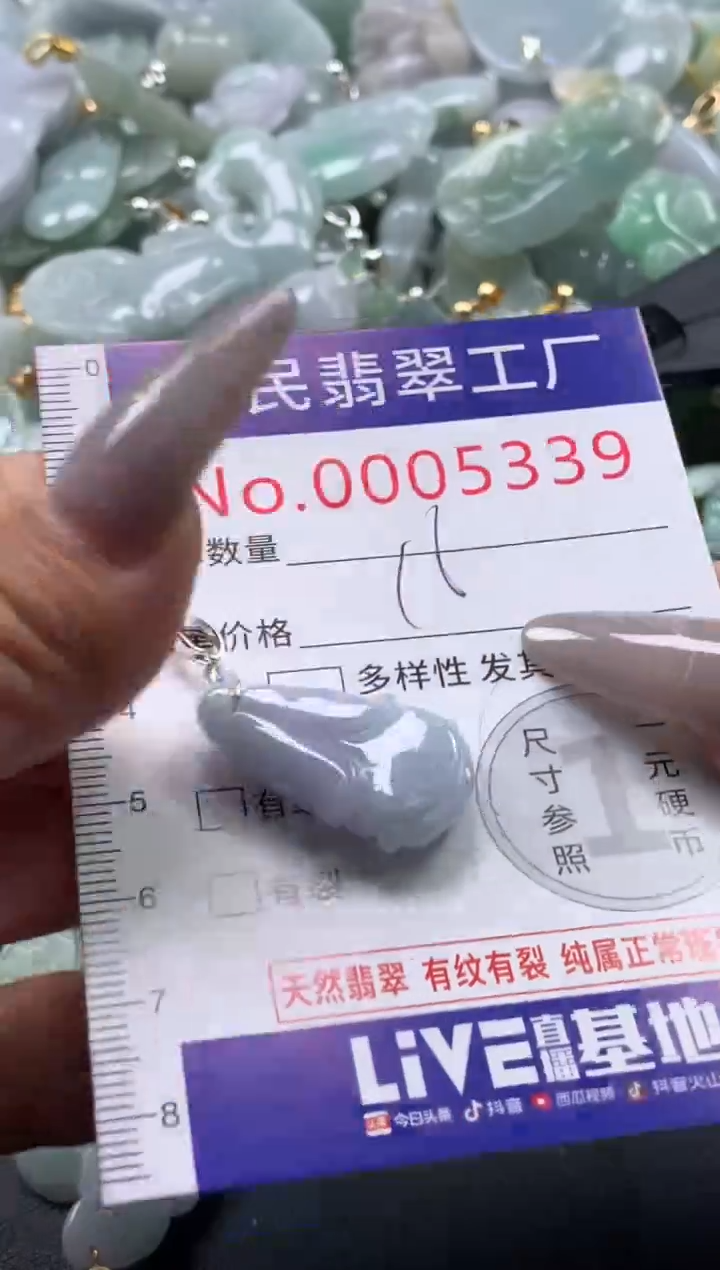 颈饰未镶嵌翡翠5339