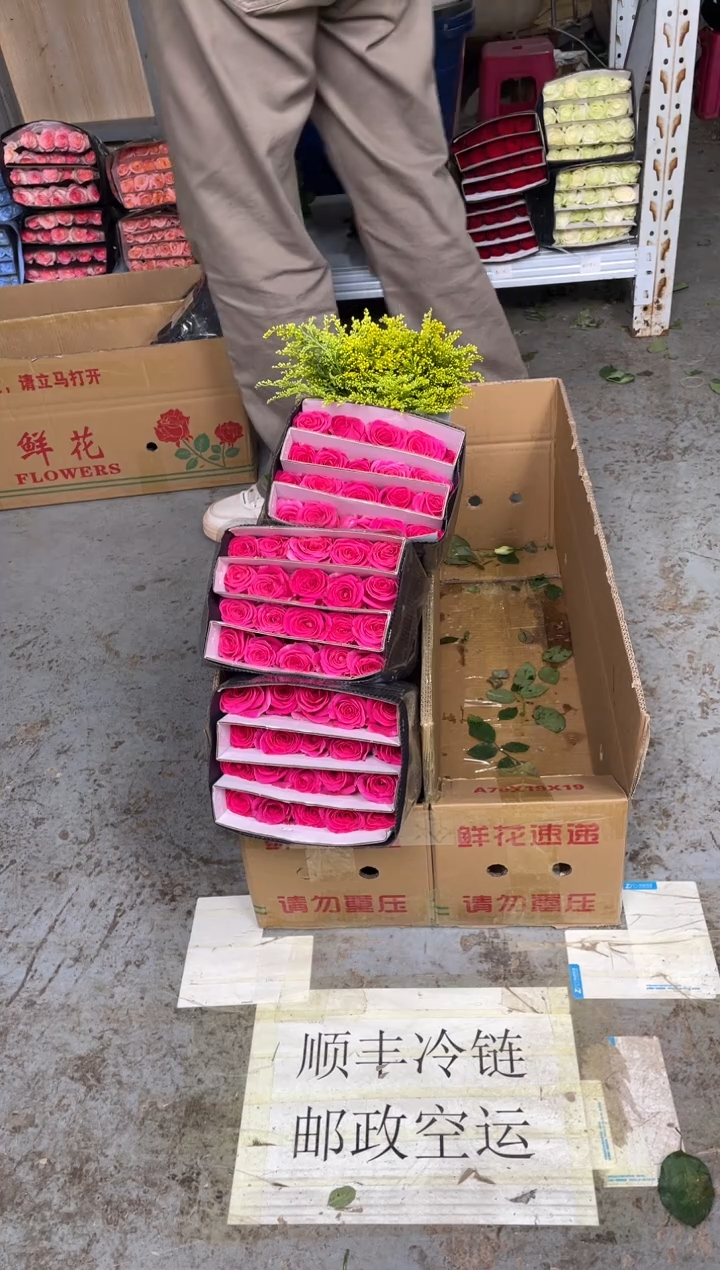 佛洛依德60枝+黄莺