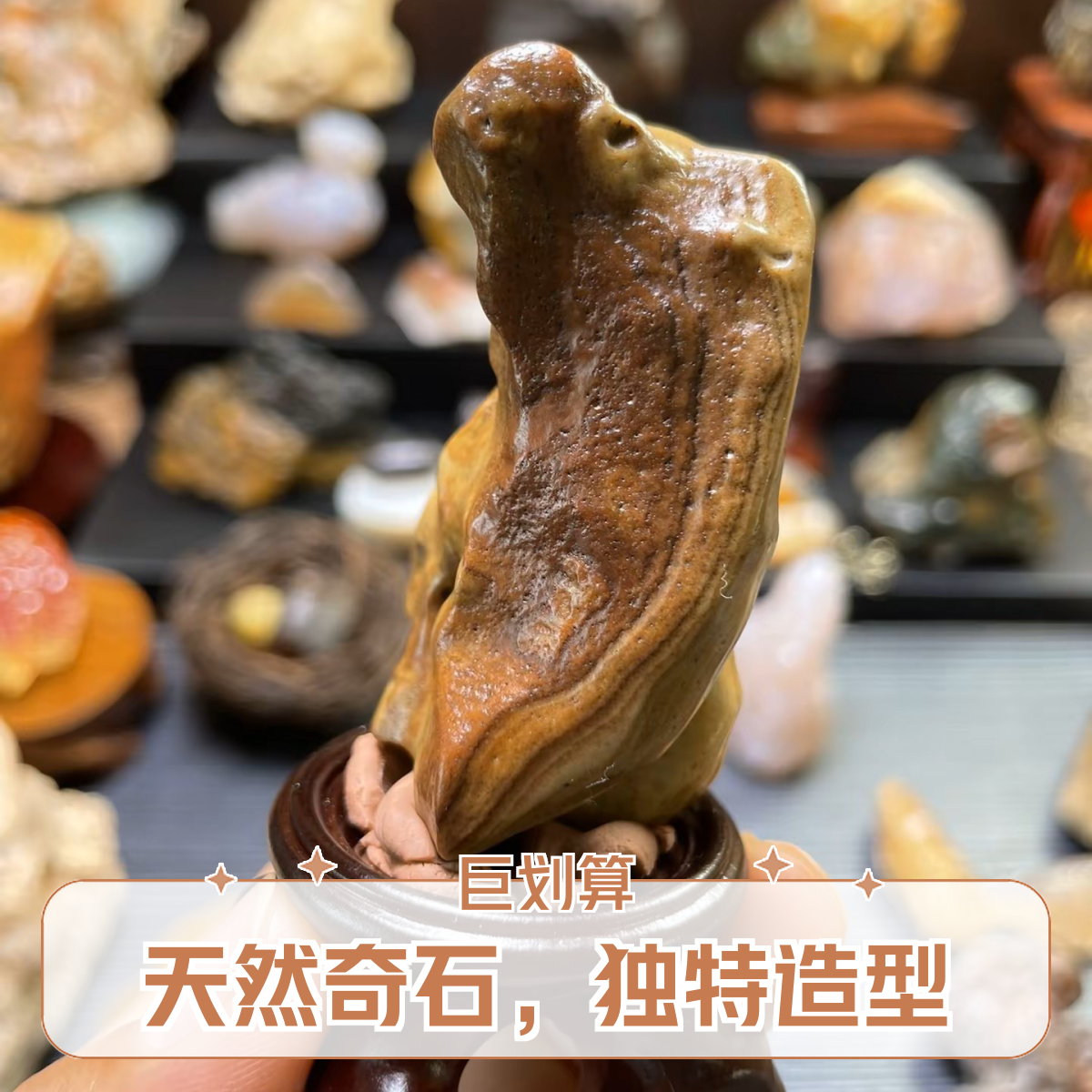 老寿星阿拉善奇石原石