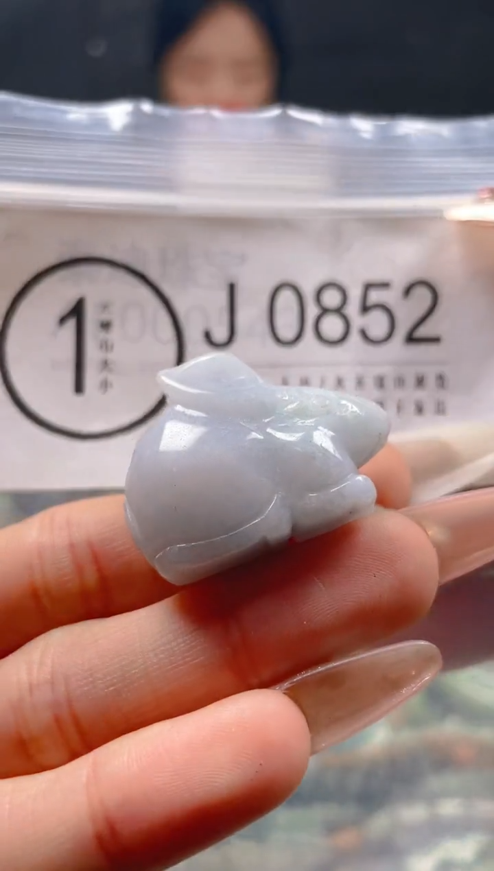 【闪购商品】翡翠颈饰未镶嵌/J/翡翠A货一图一物