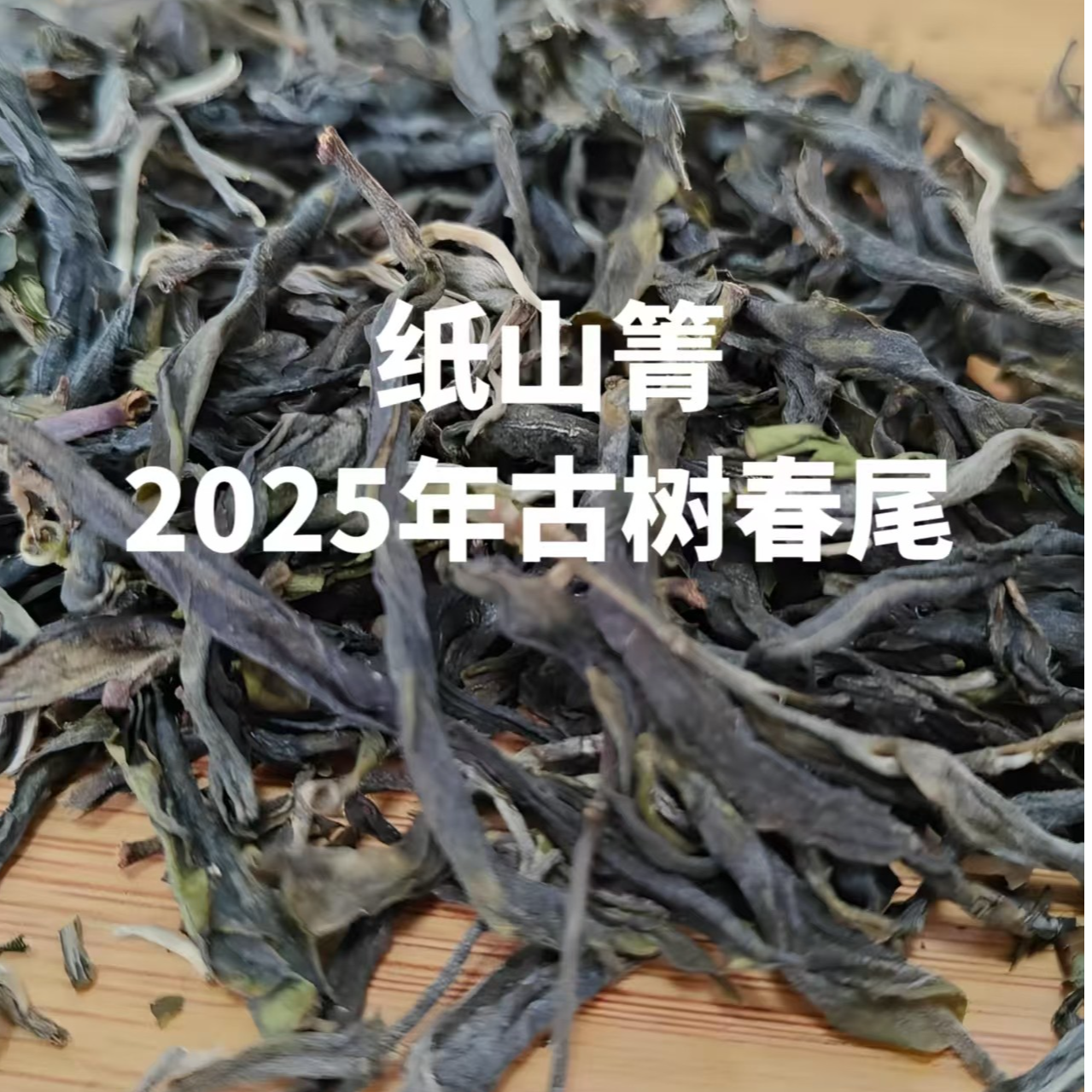纸山箐，2025年精选古树春尾，媲美冰岛甜，易武柔，曼松香。