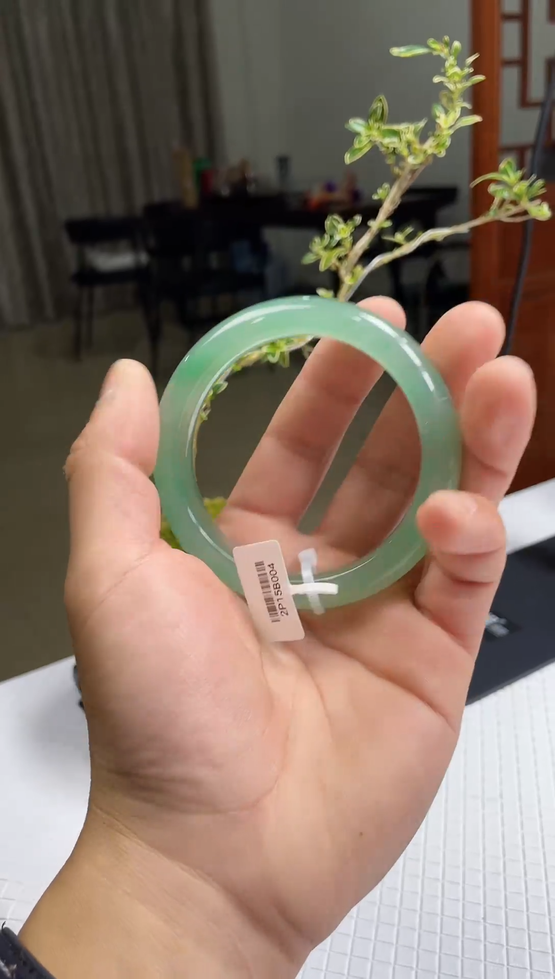 【闪购商品】石英质玉手镯未镶嵌非洲翠手镯多样性发货