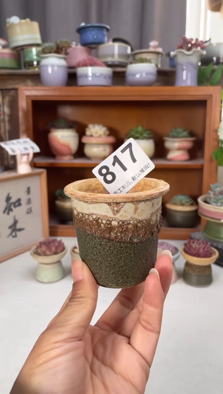 瓷片817知木小芳花盆