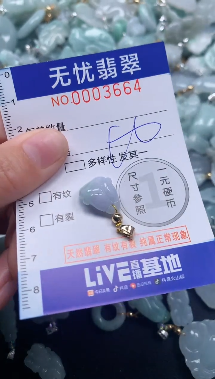 颈饰未镶嵌翡翠3664