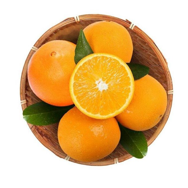 伦晚橙一份（约1000g）