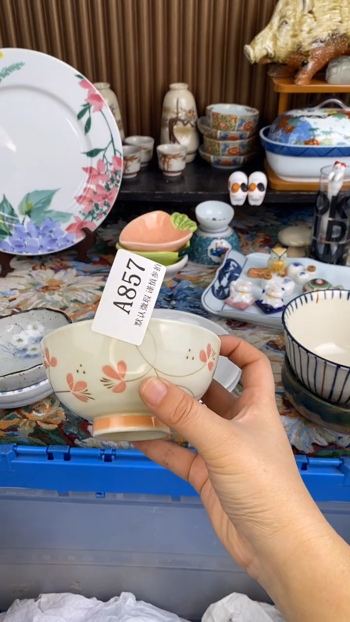 瓷片雨**虹A  857瓷片  一物一拍  