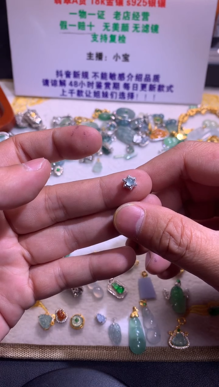 【闪购商品】翡翠吊坠(不含链)银S925镶嵌1