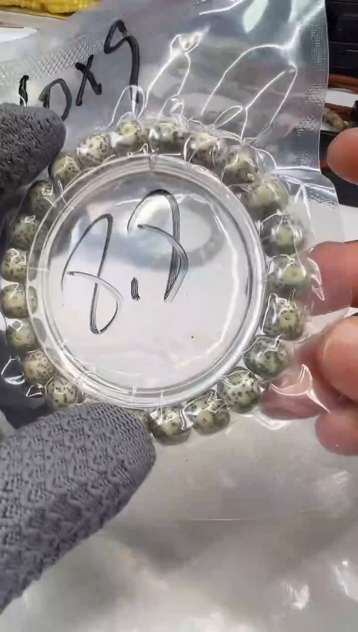 手串星月菩提星月菩提大放送