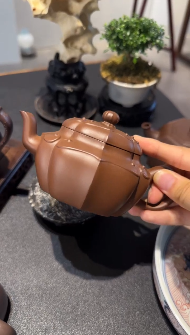 茶壶紫砂L*C向阳而生